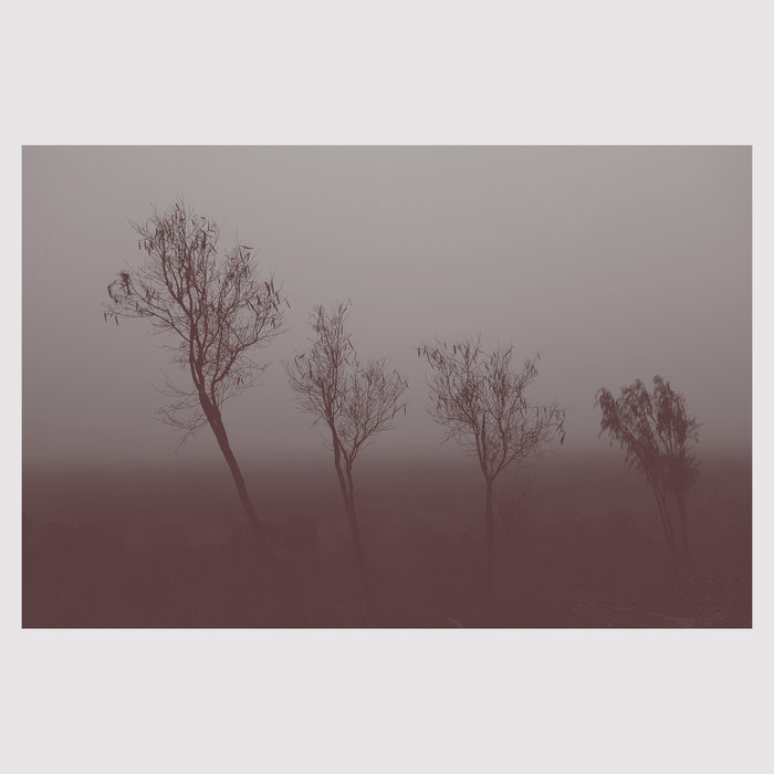 Mokuy — Hand to Earth